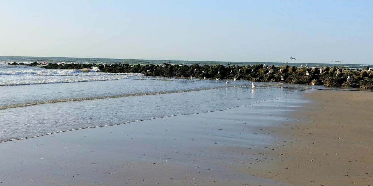 Sunny Bank Westende Zeezicht Middelkerke Exterior photo